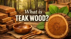 What is Teak Wood